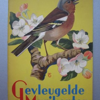 Gevleugelde muzikanten
