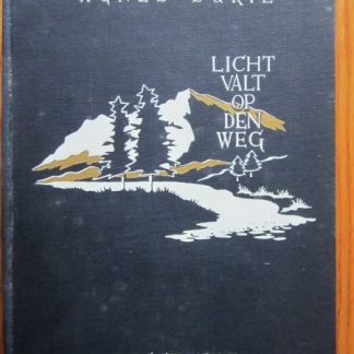 Licht valt op den weg