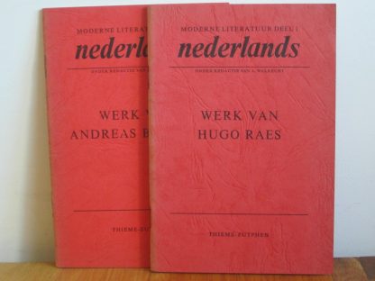 Werk van Hugo Raes